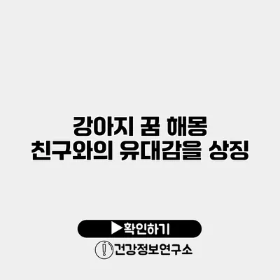 강아지 꿈 해몽 친구와의 유대감을 상징