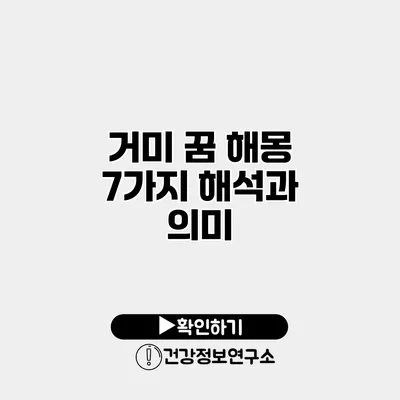 거미 꿈 해몽 7가지 해석과 의미