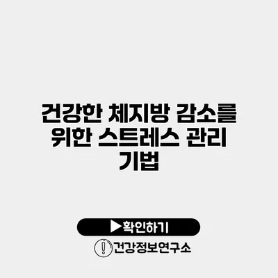 건강한 체지방 감소를 위한 스트레스 관리 기법