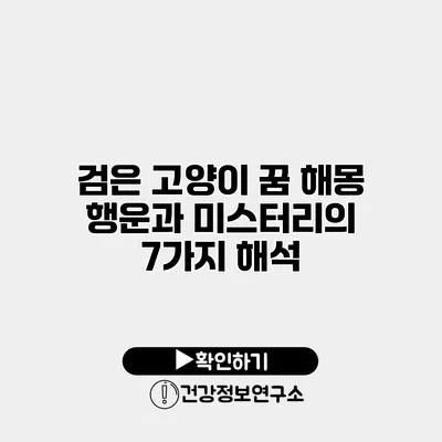 검은 고양이 꿈 해몽 행운과 미스터리의 7가지 해석