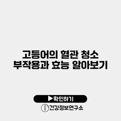 고등어의 혈관 청소 부작용과 효능 알아보기