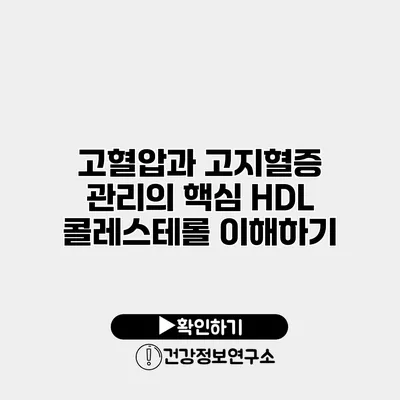 고혈압과 고지혈증 관리의 핵심 HDL 콜레스테롤 이해하기