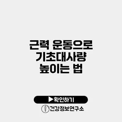 근력 운동으로 기초대사량 높이는 법