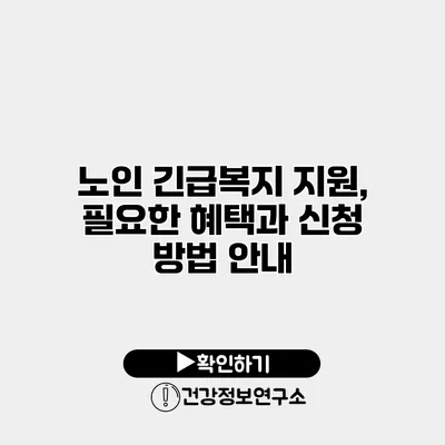 노인 긴급복지 지원, 필요한 혜택과 신청 방법 안내