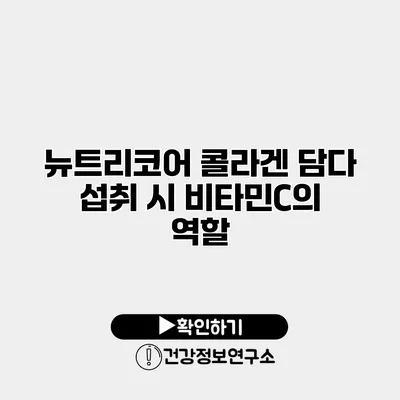 뉴트리코어 콜라겐 담다 섭취 시 비타민C의 역할