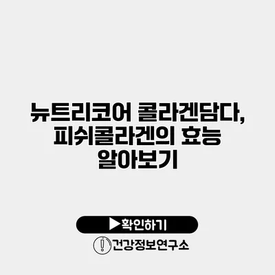 뉴트리코어 콜라겐담다, 피쉬콜라겐의 효능 알아보기