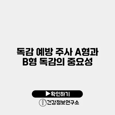 독감 예방 주사 A형과 B형 독감의 중요성