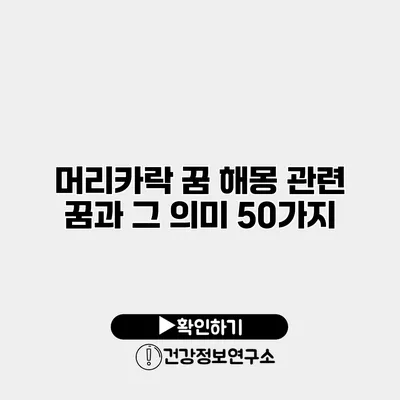 머리카락 꿈 해몽 관련 꿈과 그 의미 50가지