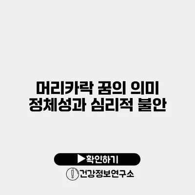 머리카락 꿈의 의미 정체성과 심리적 불안