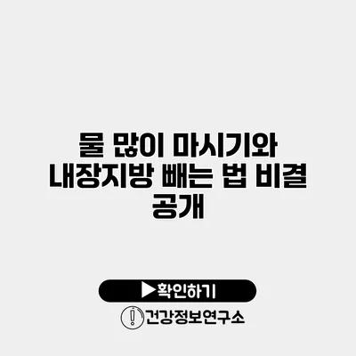 물 많이 마시기와 내장지방 빼는 법 비결 공개