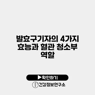 발효구기자의 4가지 효능과 혈관 청소부 역할
