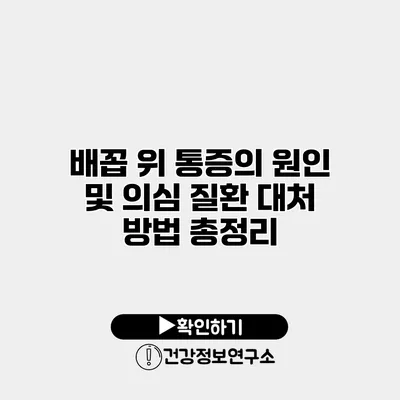 배꼽 위 통증의 원인 및 의심 질환 대처 방법 총정리