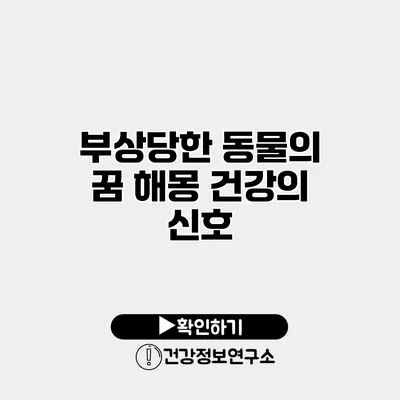 부상당한 동물의 꿈 해몽 건강의 신호