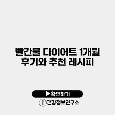 빨간물 다이어트 1개월 후기와 추천 레시피