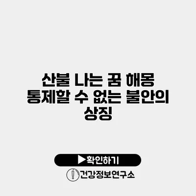 산불 나는 꿈 해몽 통제할 수 없는 불안의 상징