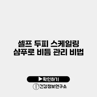 셀프 두피 스케일링 샴푸로 비듬 관리 비법