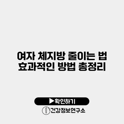 여자 체지방 줄이는 법 효과적인 방법 총정리