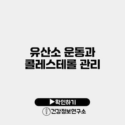 유산소 운동과 콜레스테롤 관리