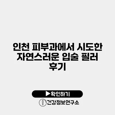 인천 피부과에서 시도한 자연스러운 입술 필러 후기