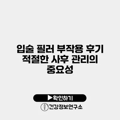 입술 필러 부작용 후기 적절한 사후 관리의 중요성