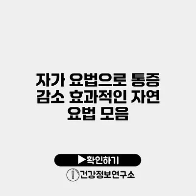 자가 요법으로 통증 감소 효과적인 자연 요법 모음