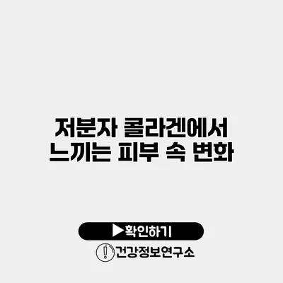 저분자 콜라겐에서 느끼는 피부 속 변화