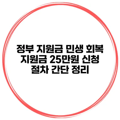 정부 지원금 민생 회복 지원금 25만원 신청 절차 간단 정리