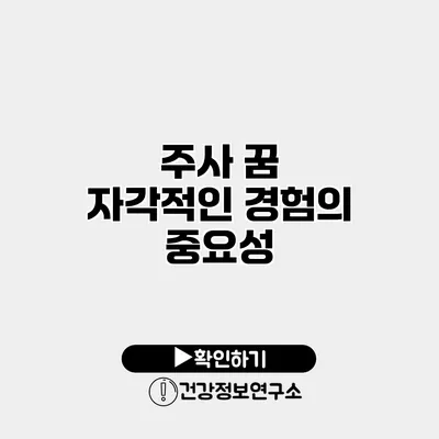 주사 꿈 자각적인 경험의 중요성