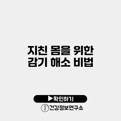 지친 몸을 위한 감기 해소 비법