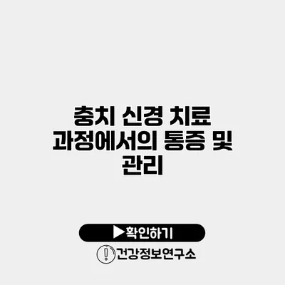 충치 신경 치료 과정에서의 통증 및 관리