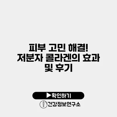 피부 고민 해결! 저분자 콜라겐의 효과 및 후기