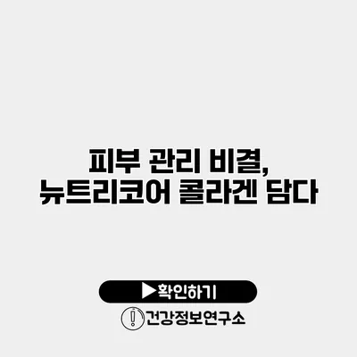 피부 관리 비결, 뉴트리코어 콜라겐 담다