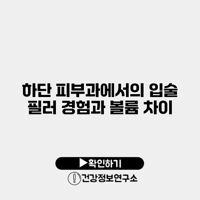 하단 피부과에서의 입술 필러 경험과 볼륨 차이