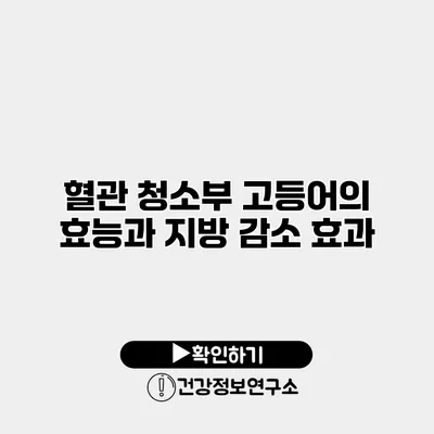 혈관 청소부 고등어의 효능과 지방 감소 효과