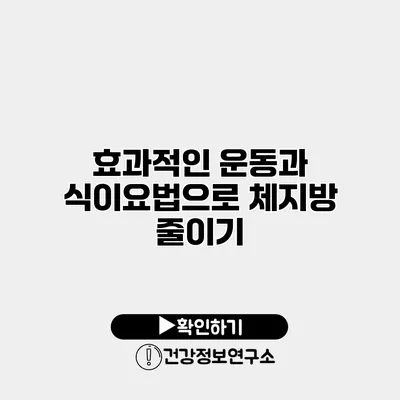 효과적인 운동과 식이요법으로 체지방 줄이기