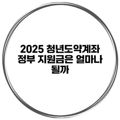 2025 청년도약계좌 정부 지원금은 얼마나 될까?