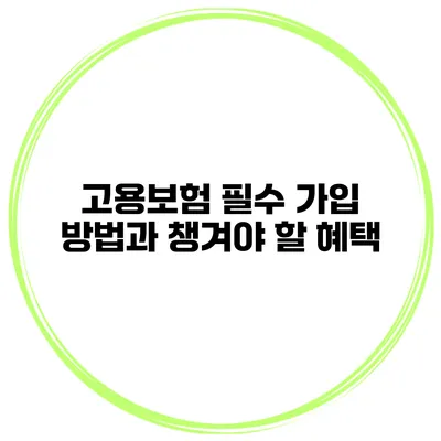 고용보험 필수 가입 방법과 챙겨야 할 혜택