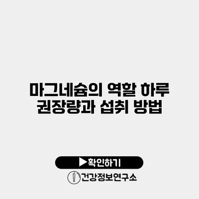 마그네슘의 역할 하루 권장량과 섭취 방법
