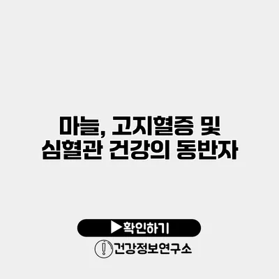 마늘, 고지혈증 및 심혈관 건강의 동반자