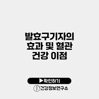 발효구기자의 효과 및 혈관 건강 이점
