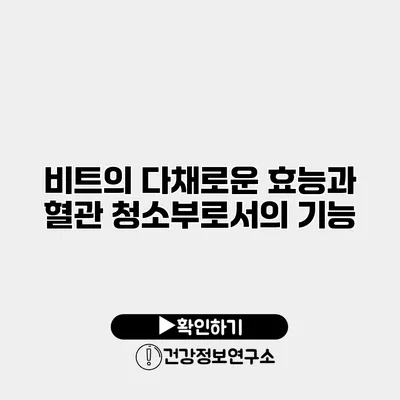 비트의 다채로운 효능과 혈관 청소부로서의 기능